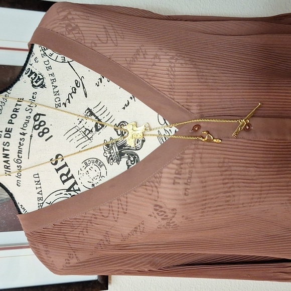 Express Pleated Dress Shirt Sz.L Brown Sheer Vneck Ballon Sleeves - Picture 4 of 14